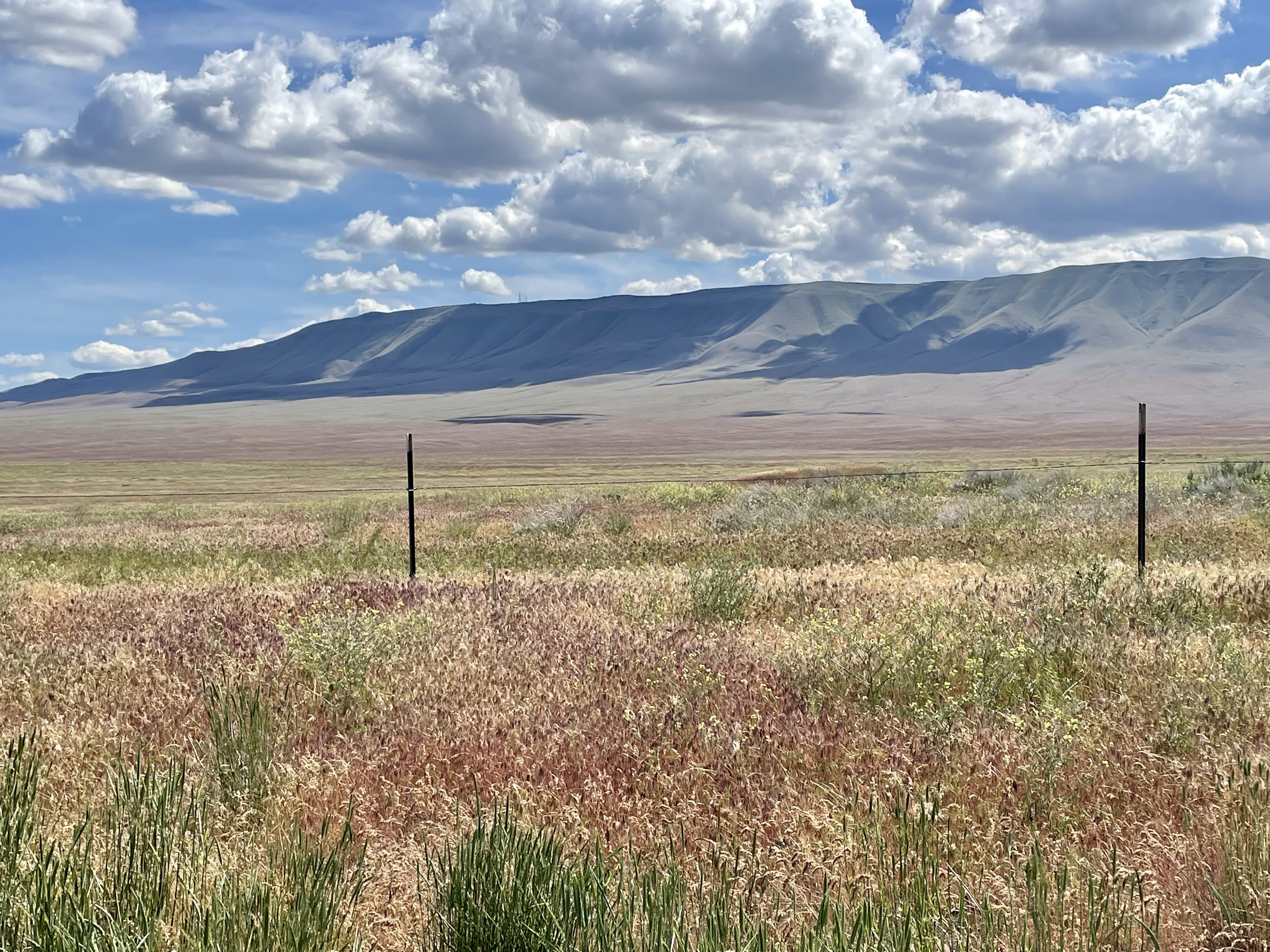 The Columbia River Valley in Oregon. CC Lab, 2022.