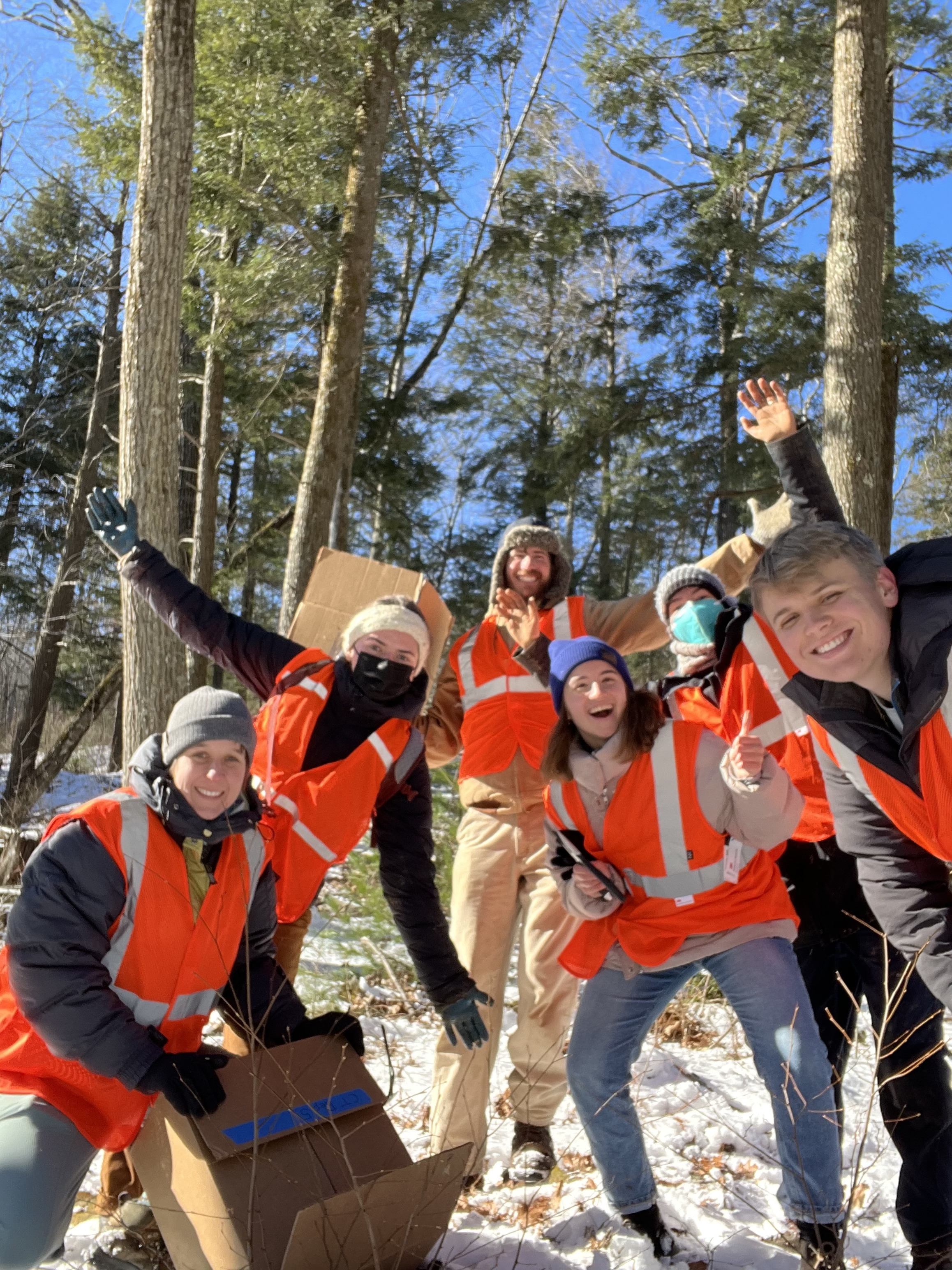 The CC Lab team conducting field experiments at Yale-Myers Forest.